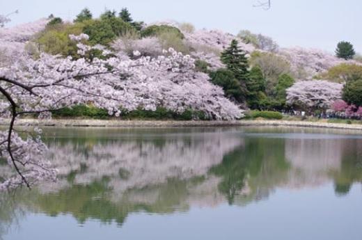 park. Until Mitsuikekoen 2800m