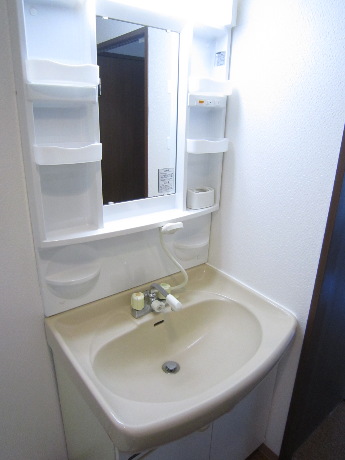 Washroom. Shampoo dresser