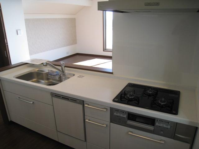 Kitchen. Indoor (12 May 2013) Shooting