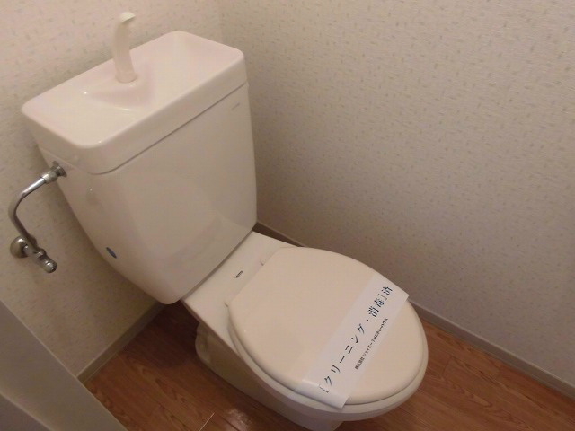 Toilet. It's space to settle me toilet.