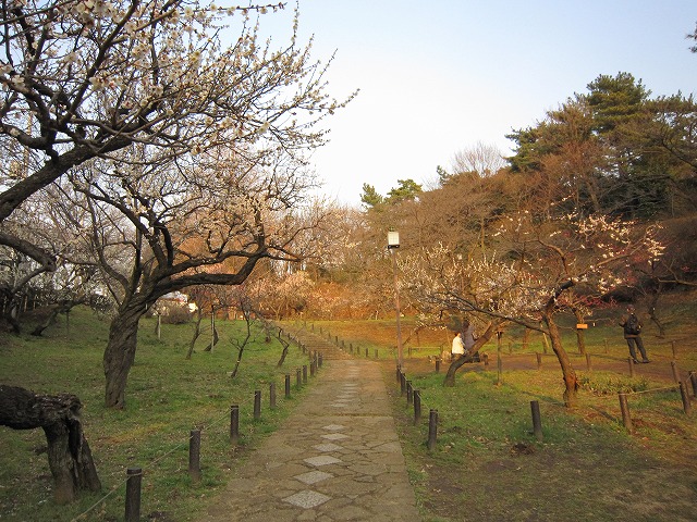 park. Okurayama Bairin until the (park) 290m