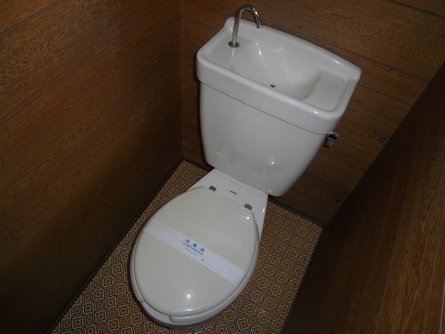 Toilet. Toilet with cleanliness