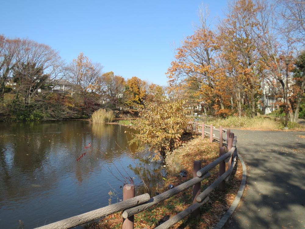 Other. Near: Kikuna pond park Perfect for a walk ☆