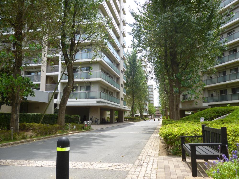 Other local. Local (August 2013) Shooting