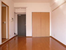 Living and room. Flooring of Western-style 7.8 quires