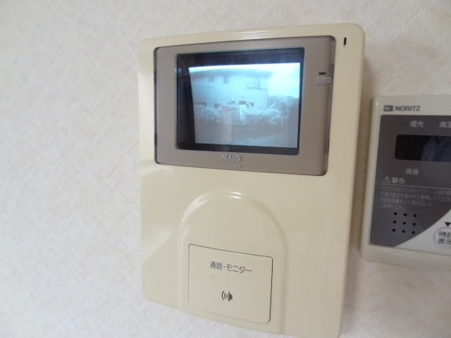 Security. TV monitor phone