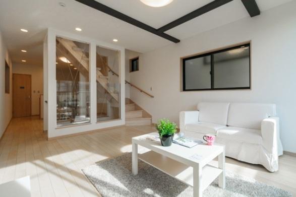 Same specifications photos (living). Same specifications complete example of construction (living)