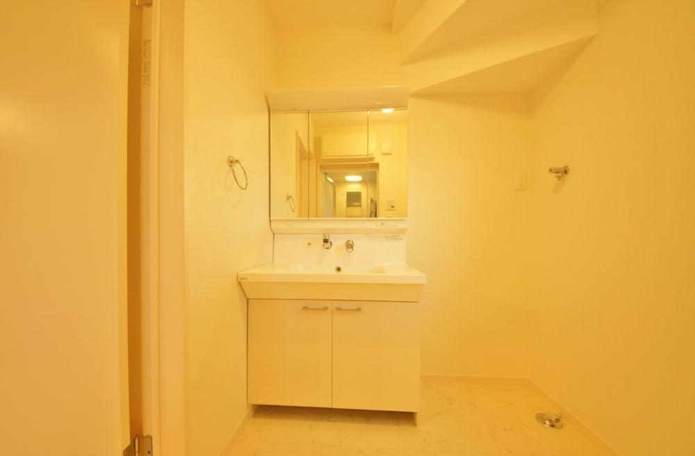 Wash basin, toilet. Indoor (11 May 2013) Shooting, Storage is abundant vanity. 