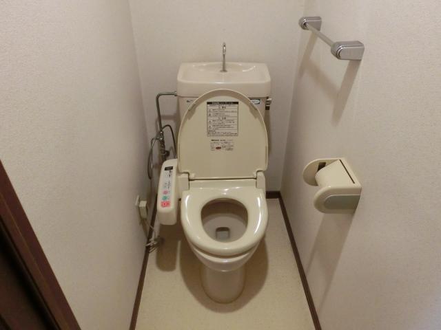 Toilet. Multi-functional toilet