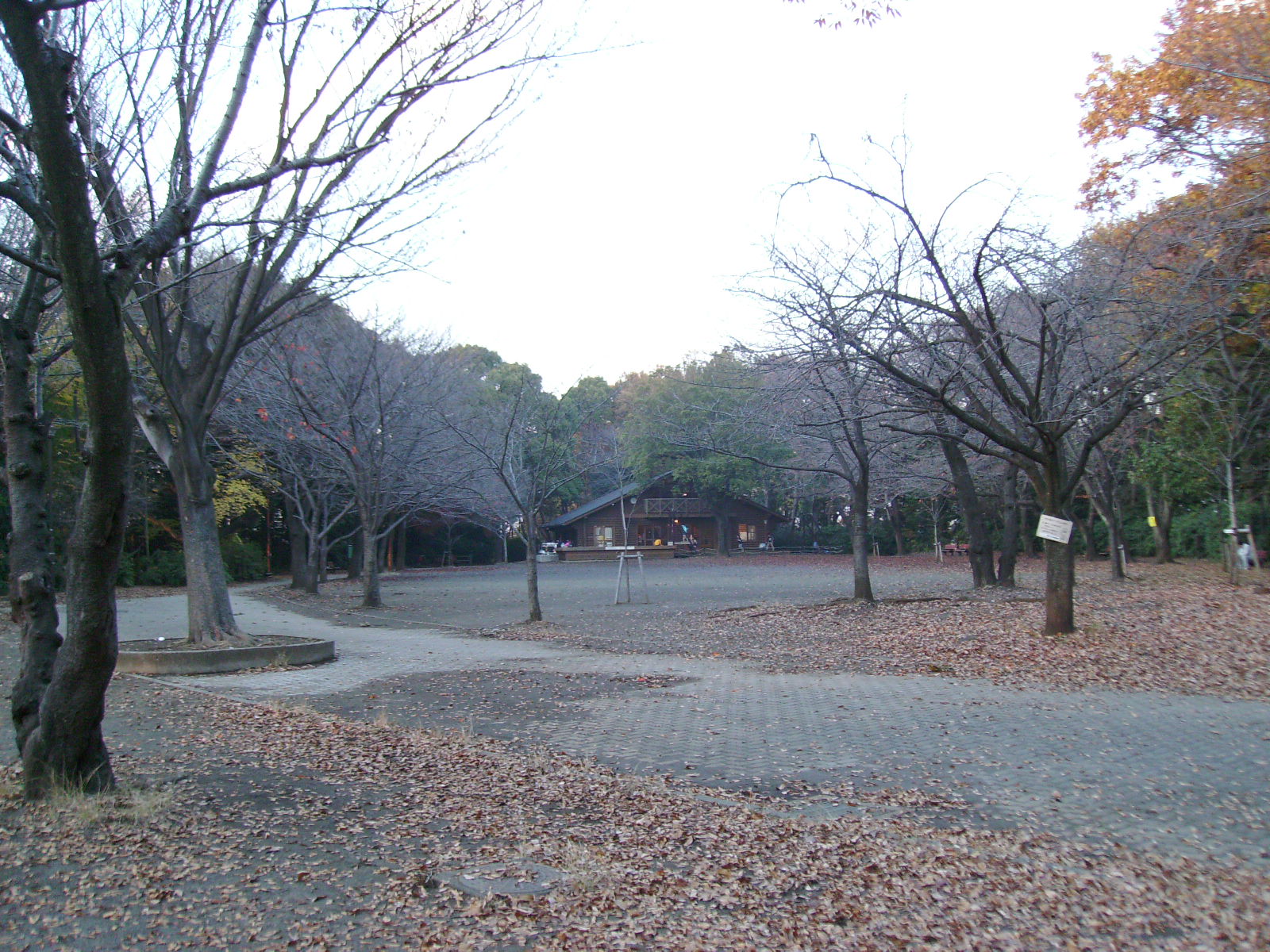 park. Tsunashima 1671m to the park (park)