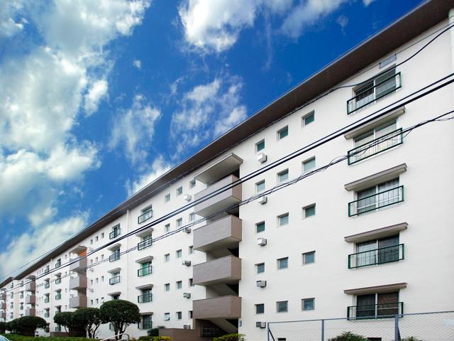 Local appearance photo. Mount Fuji views from balcony