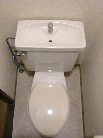 Toilet. Toilet