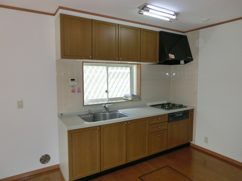 Kitchen. System kitchen