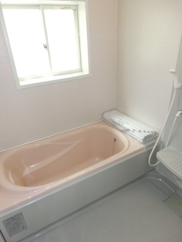 Bath. Bathroom shooting
