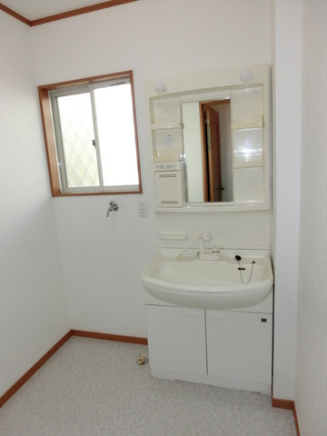 Washroom. Bathroom vanity