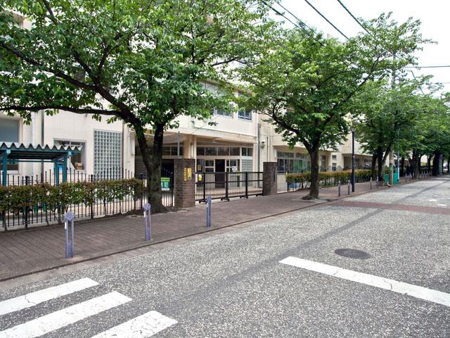 Other. Near: Yokohama Municipal Minamidai Elementary School