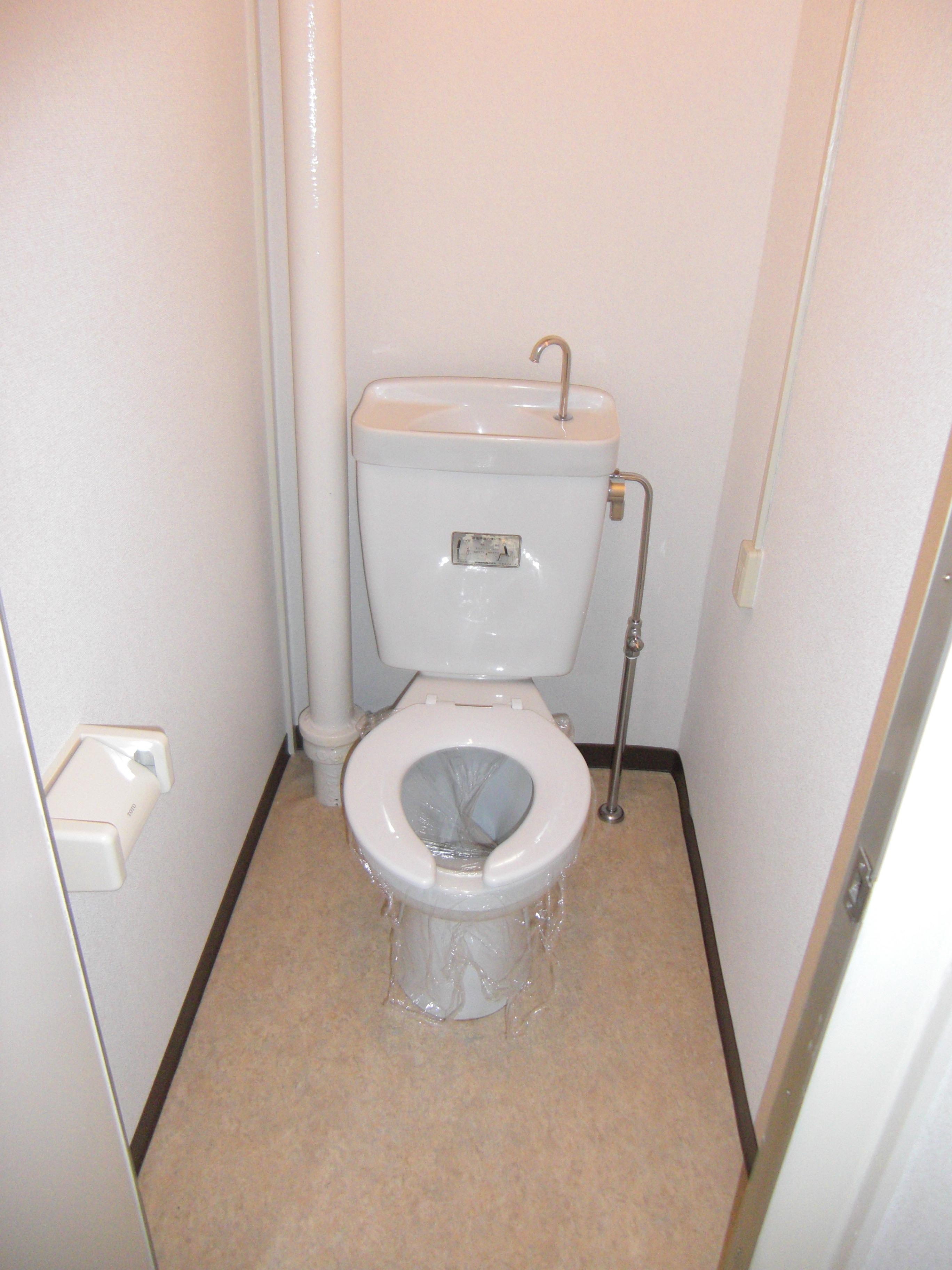 Toilet