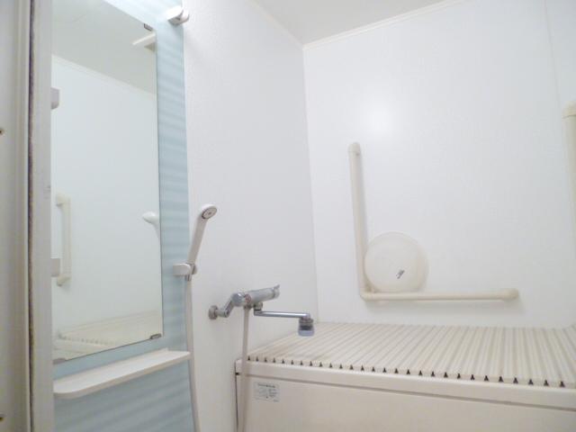 Bathroom. Indoor (10 May 2013) Shooting
