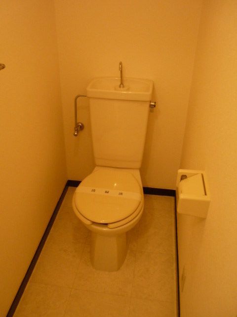 Toilet. Clean toilet