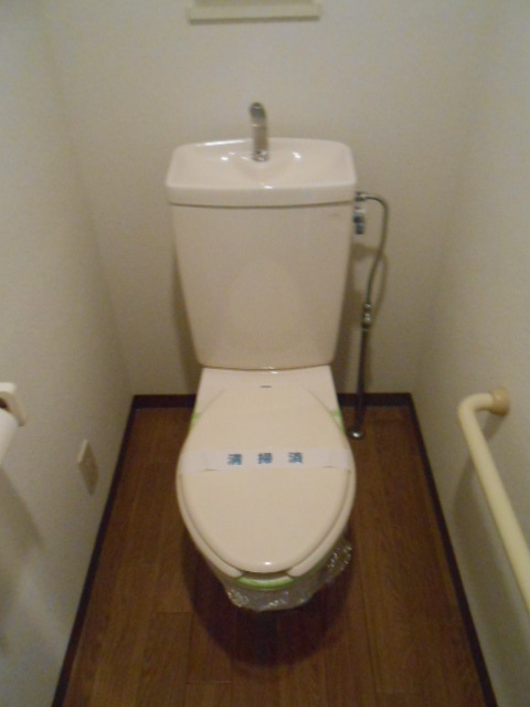 Toilet. Clean toilet