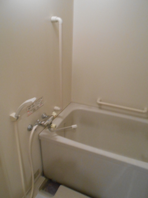 Bath. Large bathroom