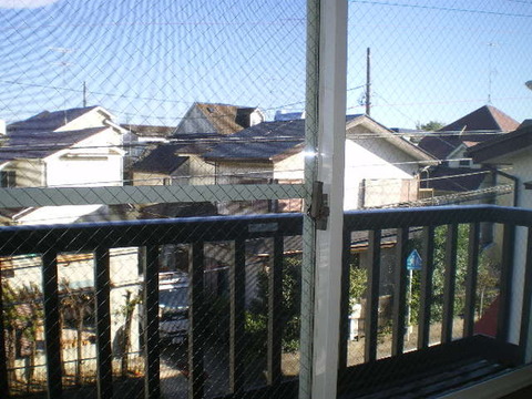 View. Southeast view