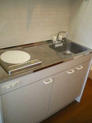 Kitchen. IH cooking heater