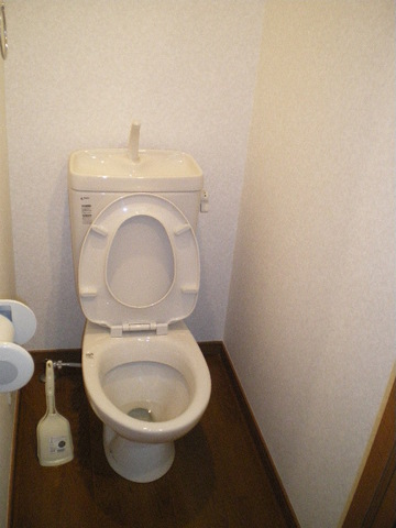 Toilet. Separate toilet