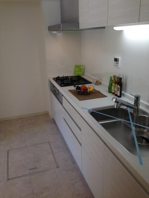 Kitchen. Indoor (12 May 2013) Shooting