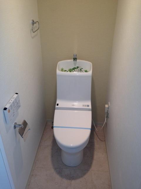 Toilet. Indoor (12 May 2013) Shooting