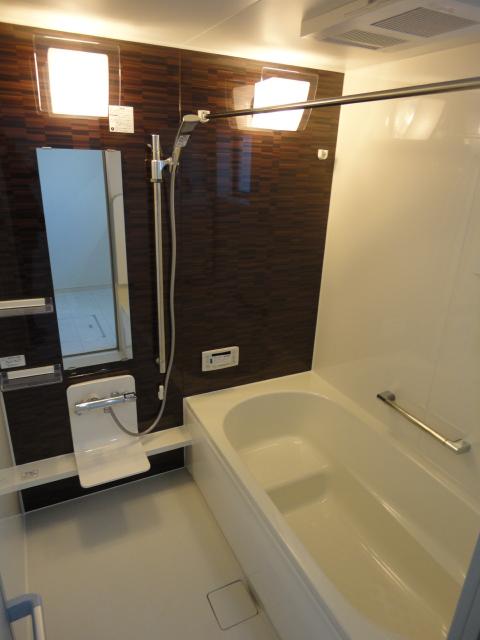 Same specifications photos (Other introspection). Example of construction bathroom