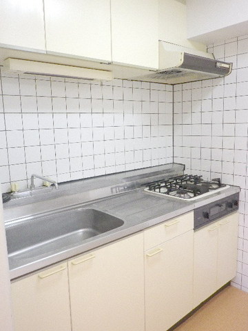 Kitchen. Spacious sink in the kitchen