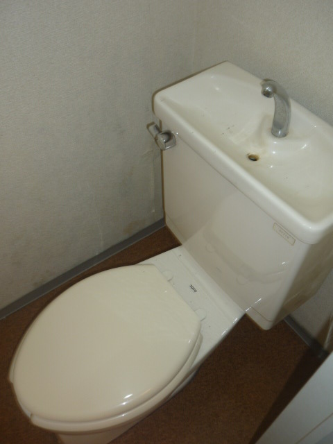 Toilet. Toilet with cleanliness