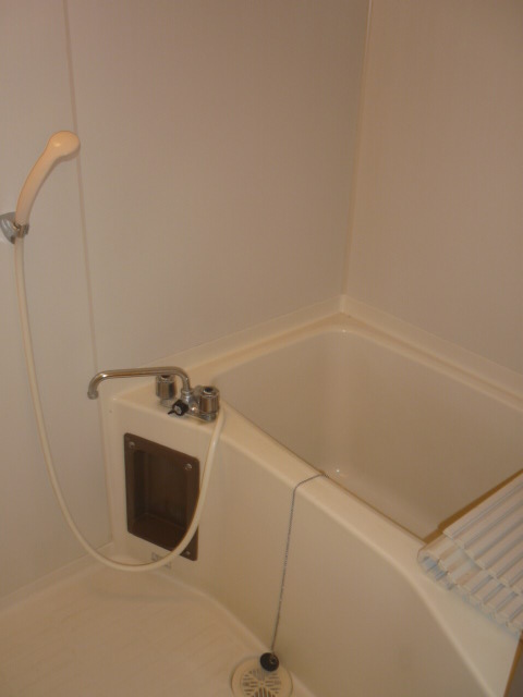 Bath. Spacious bathroom