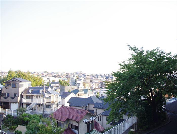 View photos from the dwelling unit. Cherry tree is visible from the window