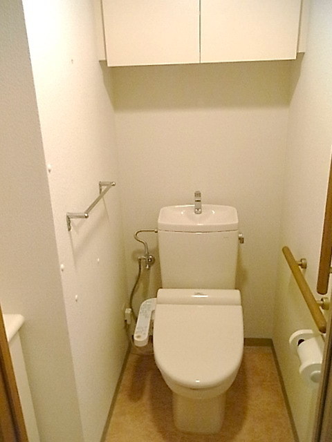 Toilet. The top shelf is also equipped with Washlet with storage