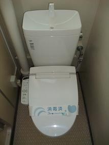 Toilet. Brand new