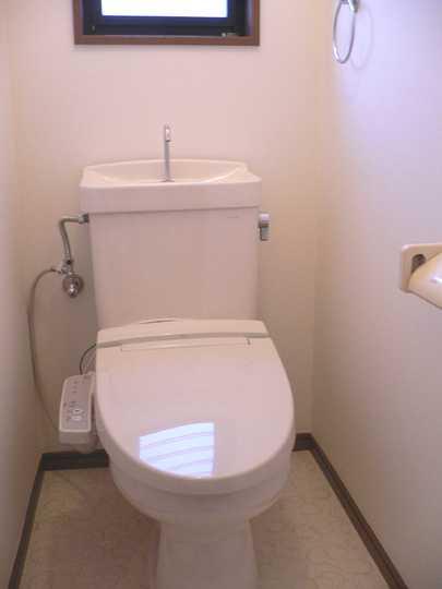 Other. Toilet
