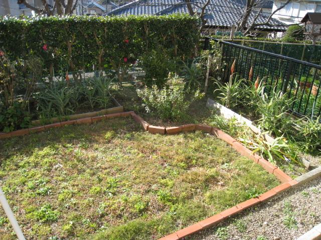 Garden. Local (12 May 2013) Shooting