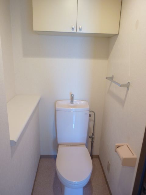 Toilet. Storage nor there cabinet toilet
