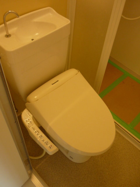 Toilet. Comfortable Washlet