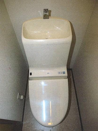 Toilet