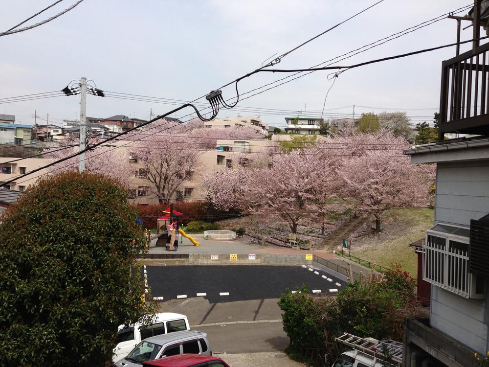 View photos from the dwelling unit. Spring is overlooking the cherry tree in the park from local.