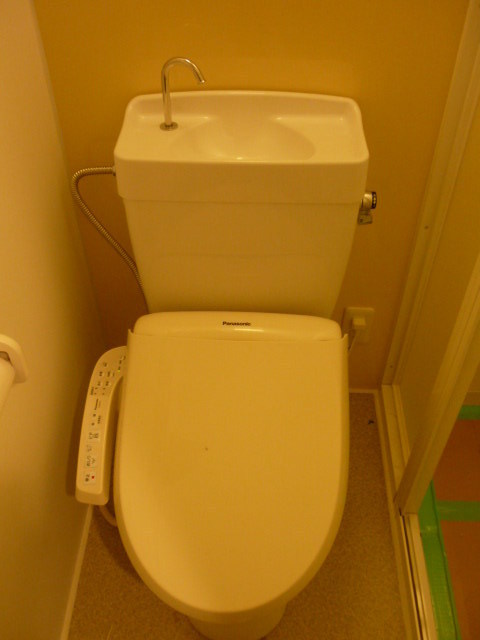 Toilet. Comfortable Washlet
