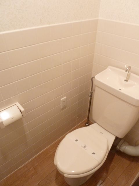 Toilet. Toilet with cleanliness, Outlet there