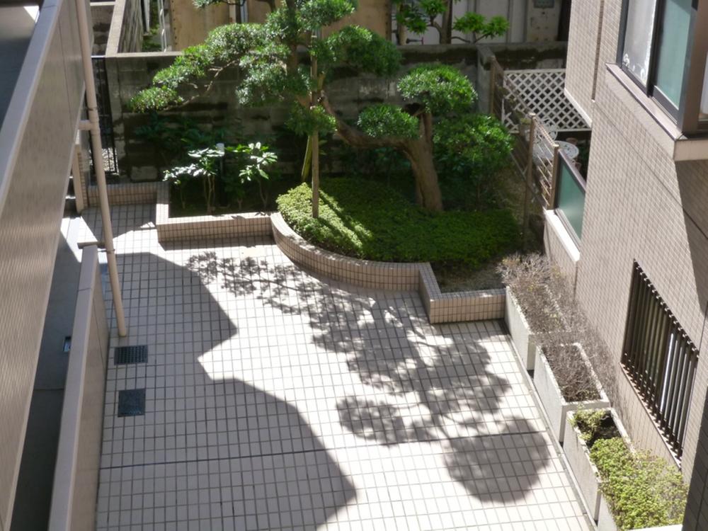 Other common areas. Patio (courtyard)