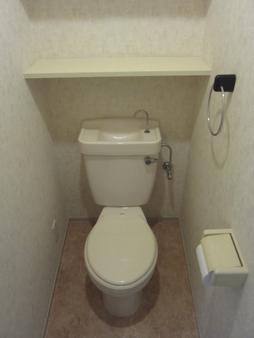 Toilet. Spacious toilet