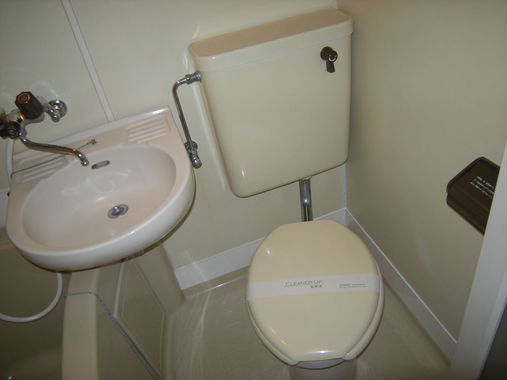 Toilet. The same type