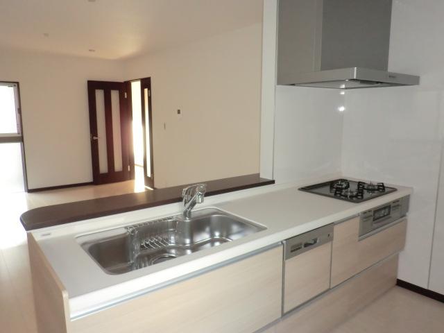 Kitchen. Indoor (11 May 2013) Shooting