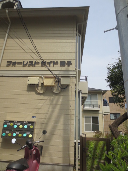 Building appearance